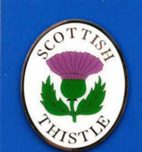 THISTLE BRASS MAGNET