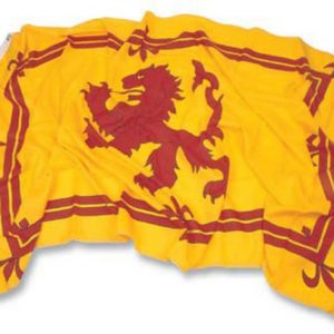 2X3 RAMPANT LION FLAG