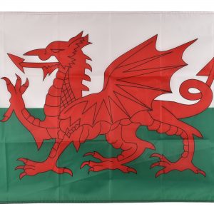 5′ x 3′ WALES FLAG