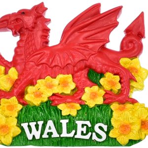 WALES DRAGON & DAFFODILS MAGNET