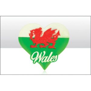 Wales Dragon Printed Resin Magnet
