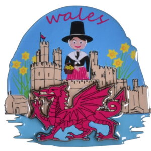 Wales Epoxy Magnet Dragon Design