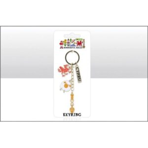 Wonderful Wales 4 Charm Keyring