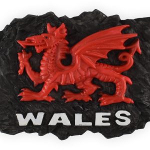 WALES COAL MONTAGE MAGNET