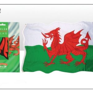 5X3 WALES FLAG