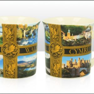 Scenic Wales Regal Mug